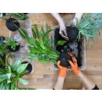 Gardners Workshop – Jak si vyrobit kokedamu Datum: flexibilní termín – Zboží Mobilmania