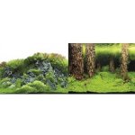 Macenauer fototapeta 4L 100 x 50 cm – Zboží Dáma