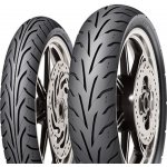 DUNLOP 100/80 R17 ARROWMAX GT601 52H – Zboží Mobilmania