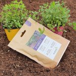 Symbiom Symbivit 150 g – Hledejceny.cz