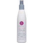 Berrywell Seiden Traum Shine Conditioner Spray 251 ml – Hledejceny.cz