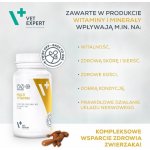 VetExpert Multivitamin 30 cps. – Zbozi.Blesk.cz