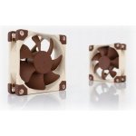 Noctua NF-A8 PWM – Zboží Živě