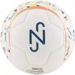 Puma Neymar Jr. Graphic – Zboží Mobilmania
