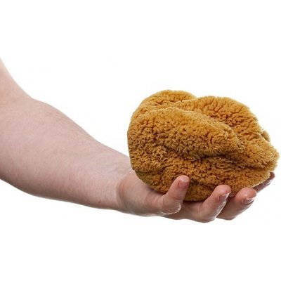 MKN Mořská houba Hardhead střední nebělená – Hledejceny.cz