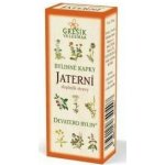 Grešík Jaterní bylinné kapky Devatero bylin 50 ml – Hledejceny.cz