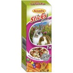 Avicentra Tyčinka Hlodavec vitamíny med 2 x 60 g – Zboží Mobilmania