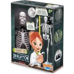 BUKI Velká lidská kostra 45 cm – Hledejceny.cz