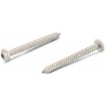 INOX DIN 7981 C šroub do plechu s půlkulatou hlavou, drážka vnitřní 4HR. SQUARE, nerez A2 Varianta: DIN 7981 C šroub do plechu půlkulatá hlava, drážka SQUARE, nerez A2 4,8X32 SQ2 – Hledejceny.cz