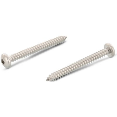 INOX DIN 7981 C šroub do plechu s půlkulatou hlavou, drážka vnitřní 4HR. SQUARE, nerez A2 Varianta: DIN 7981 C šroub do plechu půlkulatá hlava, drážka SQUARE, nerez A2 4,8X32 SQ2 – Hledejceny.cz
