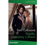 Popelka a playboy z Miami – Hledejceny.cz