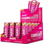 Amix CarniShot 3000 1200 ml – Zbozi.Blesk.cz