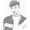 Vymalujsisam.cz Tečkování - Louis Tomlinson 2 Velikost: 40x50cm, Rámování: Pouze srolované plátno, Barva teček: Černá