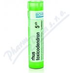 RHUS TOXICODENDRON POR 5CH GRA 4G – Hledejceny.cz