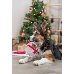 Trixie Xmas Dog pejsek 16 cm – Zboží Dáma