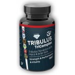 GF nutrition TRIBULUS TriComplex 120 kapslí – Zboží Dáma