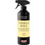 Ma-Fra Maniac Fantasia koncentrát Vanilla Soul 500 ml – Hledejceny.cz