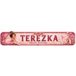Bezvadary.cz | Dětská jmenovka se jménem a baletním motivem pro holčičku 30x6,3 cm / PVC plast 3mm / bez přísavek dz20 – Hledejceny.cz