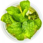 Echinodorus Grisebachii - Šípatkovec malokvětý – Hledejceny.cz