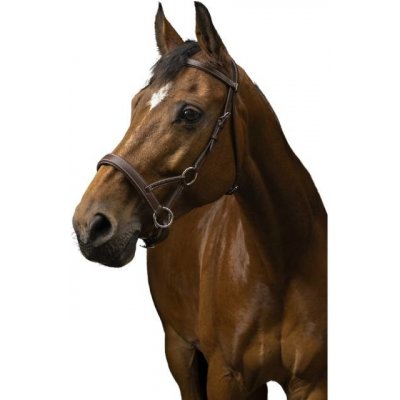 NORTON Sidepull PRO Confort havana – Zboží Dáma