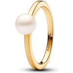 Pandora 163157C01 – Zboží Mobilmania