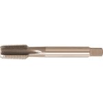 FORMAT Strojní závitník hss-co5 npt 1/4" format – Hledejceny.cz