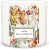 Svíčka Goose Creek Candle Spiced Apple Harvest 411 g