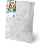 Massido Massido Malba podle čísel Corgi pes 40 x 50 cm – Zboží Mobilmania