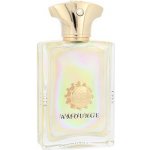 Amouage parfémovaná voda pánská 100 ml – Hledejceny.cz