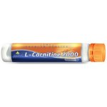 Inkospor X-TREME L-carnitine 2000 500 ml – Zboží Mobilmania