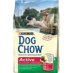 Purina Dog Chow active Chicken 14 kg – Zboží Mobilmania