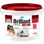 HET Brillant 100 40 KG – Hledejceny.cz
