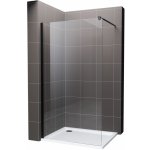Hagser Bertina sprchová zástěna walk-in 120 cm černá matný/průhledné sklo HGR30000022 – Hledejceny.cz