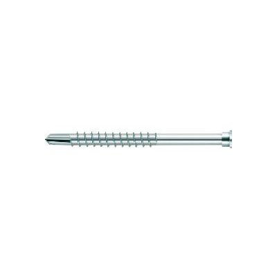 Profilový závrtný vrut s válcovou hlavou TX25 nerez tvrzená, 5,5 x 61 mm (200 ks) – Hledejceny.cz