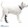 Autovýbava Walkinpets Ortopedická dlaha na zadní nohy pro psa XXS