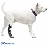 Walkinpets Ortopedická dlaha na zadní nohy pro psa XS