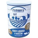 Sokol Falco FARMKA Cat s lososem 800 g – Sleviste.cz