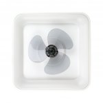 Noaton 14050W – Zboží Dáma