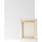 AMI Malířské umělecké plátno 50 x 60 cm – Zboží Dáma