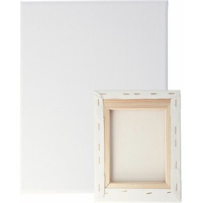 AMI Malířské umělecké plátno 50 x 60 cm – Zboží Dáma