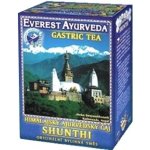 Everest Ayurveda Shunthi 100 g – Hledejceny.cz