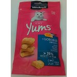 Vitakraft Cat Yums Losos Omega 3 40 g – Hledejceny.cz