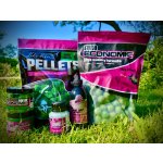 LK Baits Booster Amur special Spice Shrimp 250 ml – Hledejceny.cz