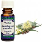 Phytos Eukalyptus radiata 100% přírodní silice 10 ml – Zboží Dáma