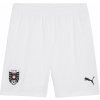 Puma ÖFB Shorts Replica 2024