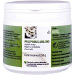 MRL Polyporus choroš oříš BIO 250 g – Hledejceny.cz