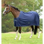 Bucas Transportní odpocovací deka Power Cooler navy silver – Hledejceny.cz