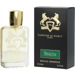 Parfums de Marly Shagya parfémovaná voda 125 ml pánská – Zbozi.Blesk.cz