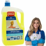 Mr. Proper Profesionál univerzální citronový čistič Lemon 5 l – Zboží Dáma
