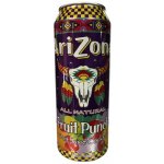 Arizona Fruit Punch 0,65 l – Hledejceny.cz
